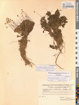 MAG 0012843