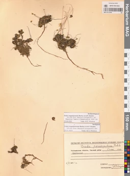 MAG 0012846