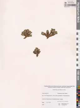 MAG 0011378