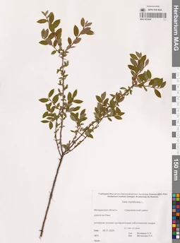 MAG 0023046