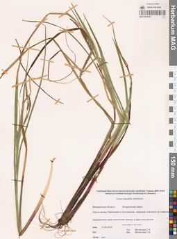 MAG 0023049