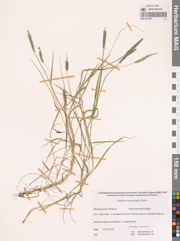 MAG 0023064