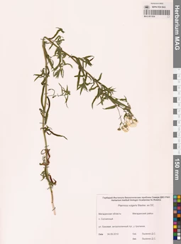 MAG 0011834