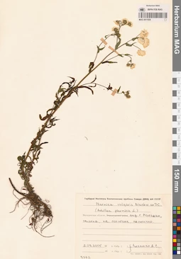 MAG 0011835