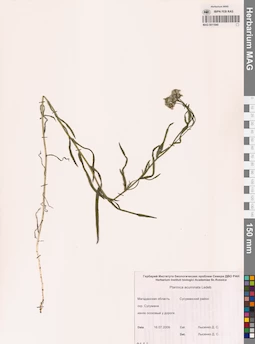 MAG 0011840