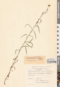 MAG 0011844