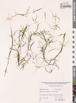 MAG 0023165