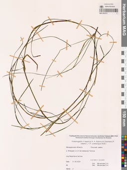 MAG 0023214