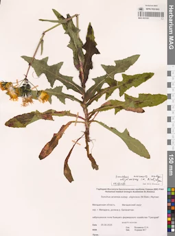 MAG 0023301