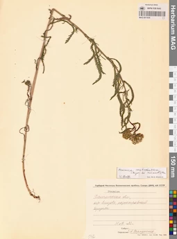 MAG 0011836