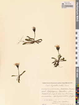 MAG 0023412
