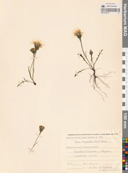 MAG 0023418