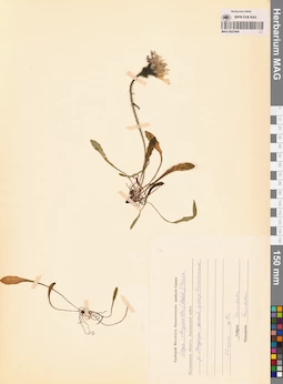 MAG 0023468