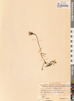 MAG 0023469