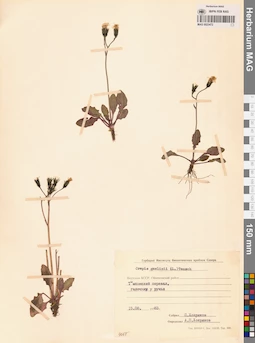 MAG 0023472