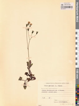 MAG 0023473