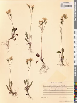 MAG 0023478