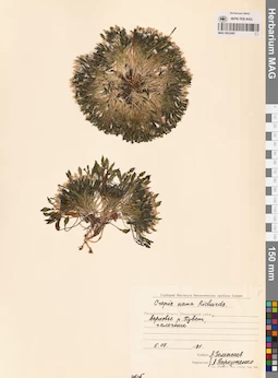 MAG 0023497