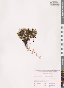 MAG 0023540