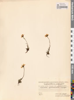MAG 0012610