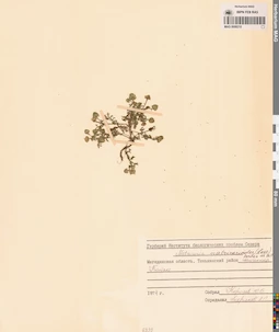 MAG 0008210