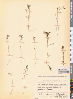 MAG 0008211