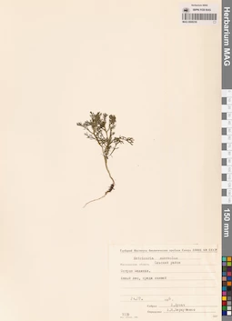 MAG 0008230