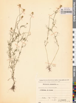 MAG 0011829