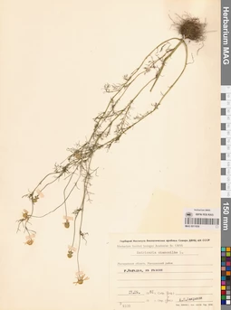 MAG 0011830