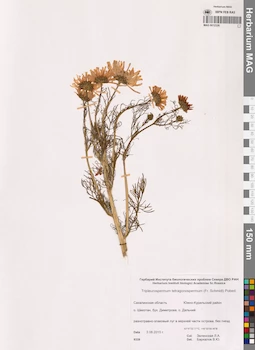 MAG 0012326