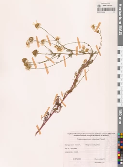 MAG 0012544