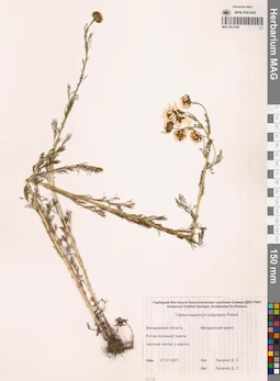 MAG 0012566