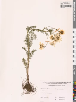 MAG 0012572
