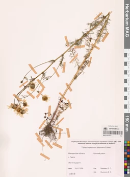 MAG 0012574