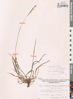 MAG 0004741