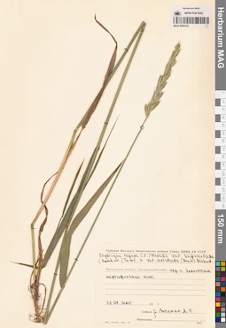 MAG 0004743