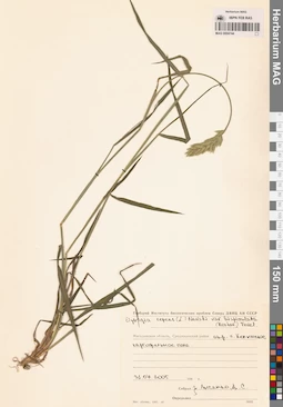 MAG 0004744