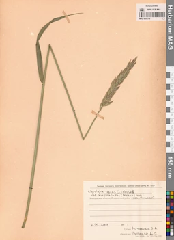 MAG 0004746