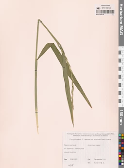 MAG 0004749
