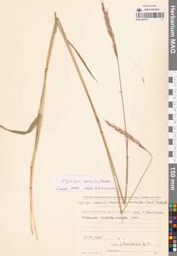 MAG 0004751