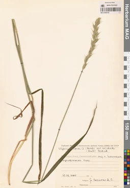 MAG 0004752