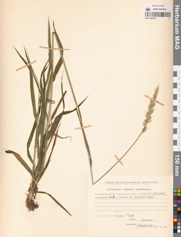MAG 0004758