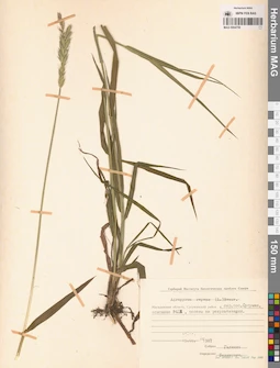 MAG 0004759