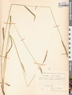 MAG 0004761