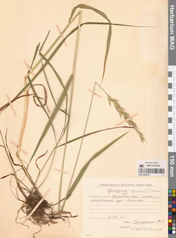 MAG 0004763