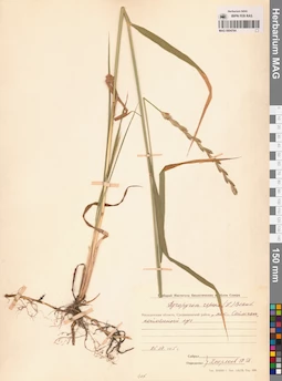 MAG 0004764