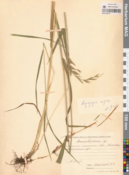 MAG 0004765