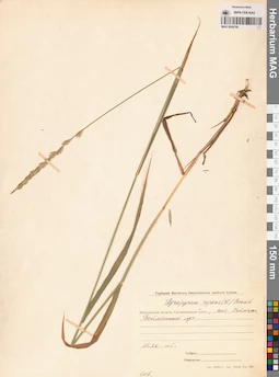 MAG 0004766