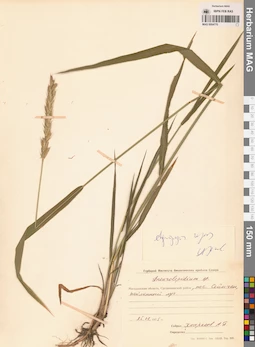 MAG 0004770