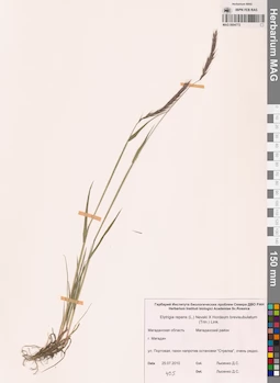 MAG 0004772